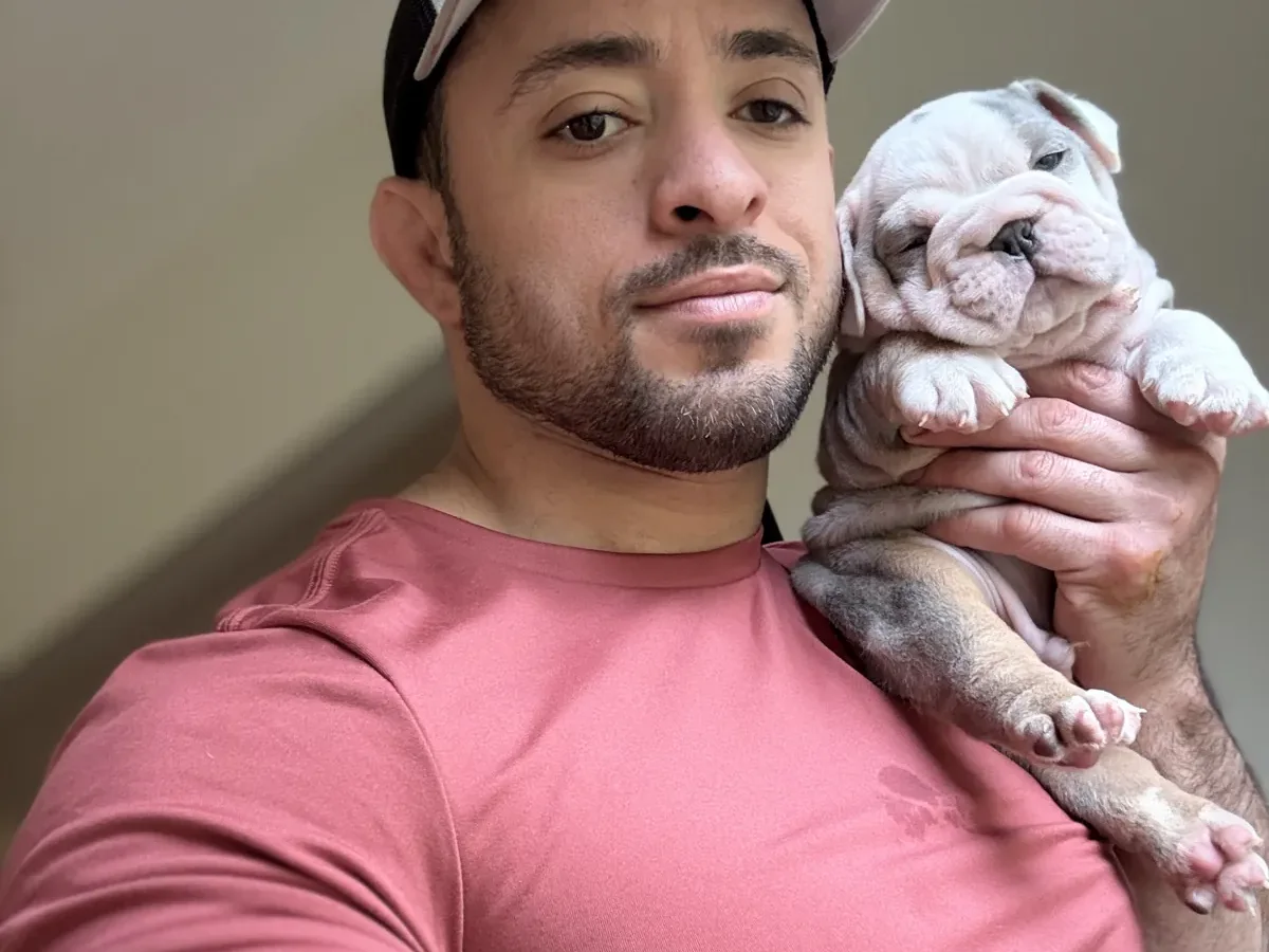 Jason soares with merle bulldog puppy