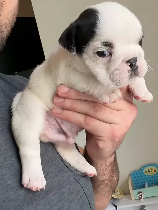 When adopting makes sense