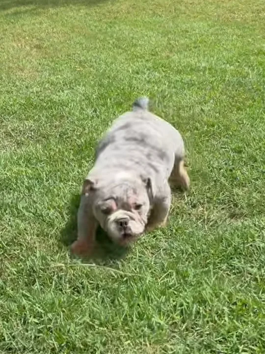 "Is she walking right?"